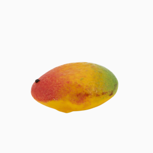 Mangue (2)